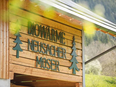 Bild 23 aus Neusacher Moser