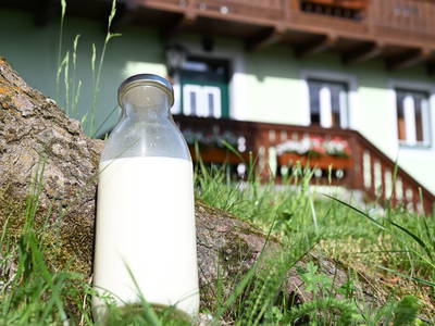 Bild 60 aus  Hinteregger