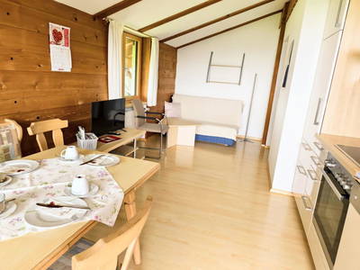 Bild 94 aus  SOHLERHOF mit fantastischem BODENSEE-BLICK