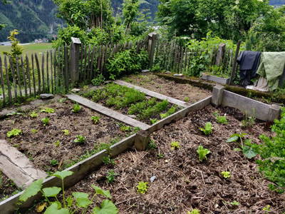 Bild 9 aus  Kollreiderhof