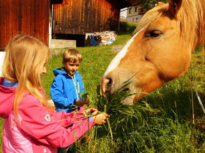 Bild 2 aus  Naturerlebnis Lärchenhof