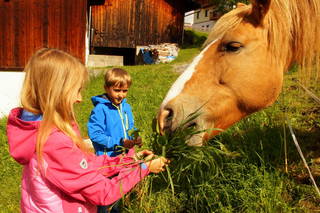 Naturerlebnis Lärchenhof aus Fendels