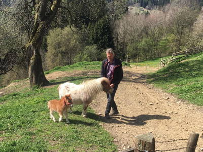 Bild 42 aus  Alm-Ferienhaus Schleinzer