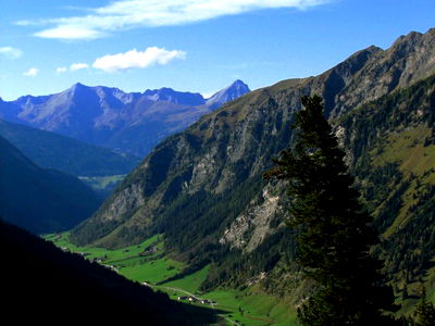 Bild 85 aus Berggasthof Steckholzer