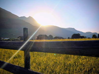 Bild 131 aus  Anderlbauer