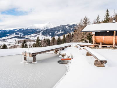 Bild 68 aus  Almchalet Nikola