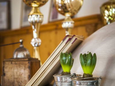 Bild 80 aus  Naglbauer