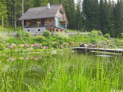 Bild 53 aus Heselehof