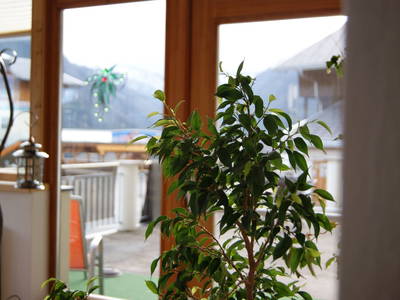 Bild 17 aus  Oswalderhof