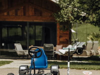 Bild 155 aus  Taxengut