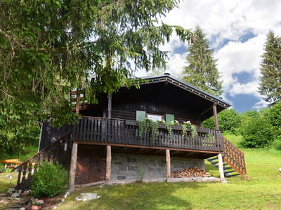 Bild 28 aus  Schwammerlhütte