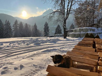 Bild 111 aus  Maierlehen