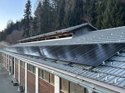 Bild 289 aus Mösslacherhof