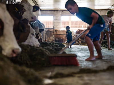 Bild 115 aus  Sinnhubgut