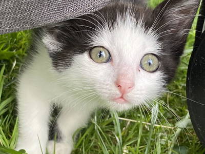 Bild 18 aus  Ederbauer