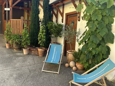 Bild 9 aus  Weingut-Gästehaus zum Schwalbennest