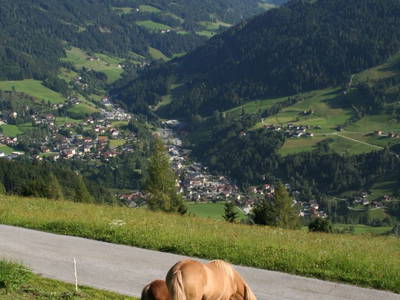 Bild 29 aus  Oberegghof