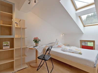 Bild 30 aus  Blattlbauer