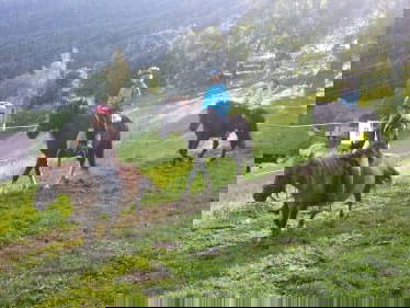 Bild 22 aus  Wugganig