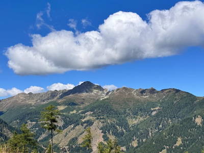 Bild 152 aus  Wallneralm