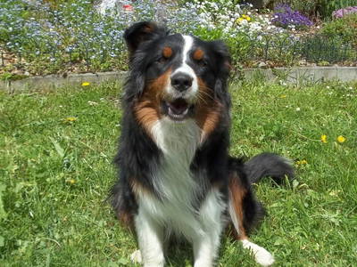 Bild 23 aus  Hoanz´nhof