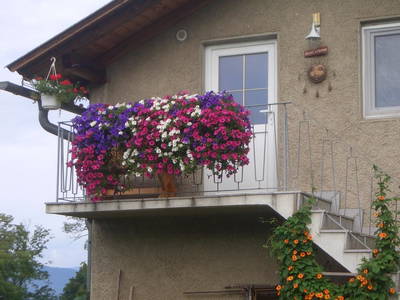 Bild 68 aus  Kollehof