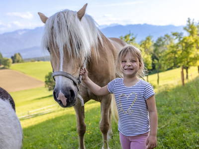 Bild 7 aus  Pleschinhof