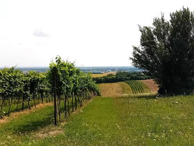 Bild 27 aus  Ferienhaus Anna