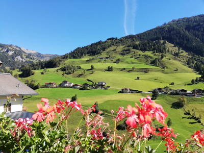 Bild 16 aus  Schaidreithof