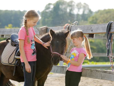 Bild 7 aus  LandSelection Thomahof         -    7 Mal Beliebtester Ferienhof Bayerns