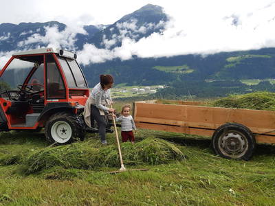Bild 30 aus  Hauserhof am Goldberg