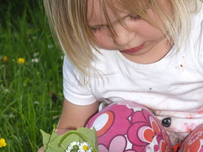 Bild 65 aus  Pesbichl