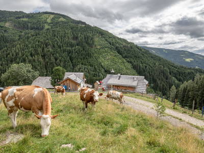 Bild 28 aus  Sandrisser Hütte