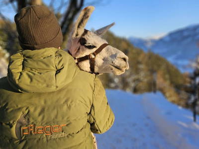 Bild 79 aus  Pfleger Ranch am Schönegg Gut