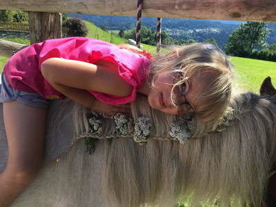 Bild 19 aus  Isländerhof Köck vlg. Kristanhof