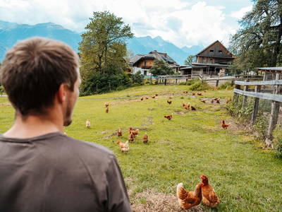 Bild 2 aus  klein Lenzhof