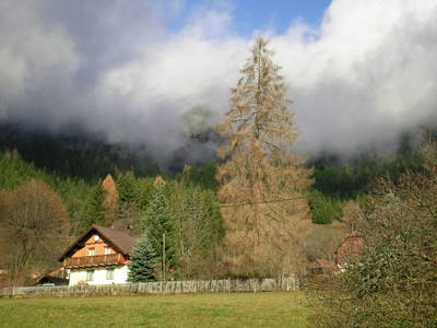 Bild 43 aus  Tengghof - Ferienhäuser