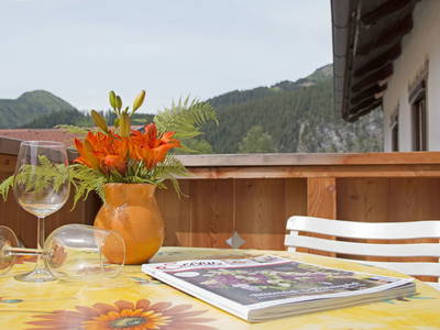 Bild 92 aus  Rimmlhof & Rimmlstube