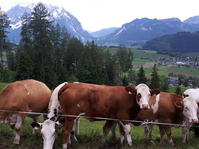 Bild 46 aus  Hüttstädterhof