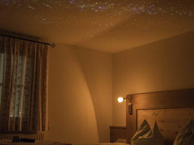 Bild 136 aus  Familienbauernhof mit Märchenkulisse - ZITTRAUERHOF