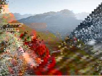 Bild 26 aus  Reiterhof Romanasa