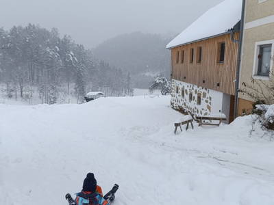 Bild 134 aus  Biohof Viertl