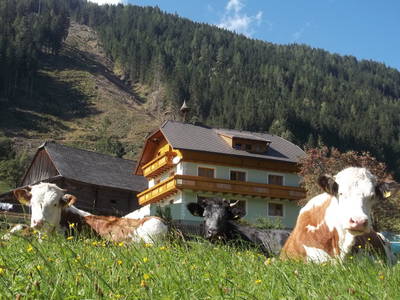 Bild 24 aus  Hoanz´nhof