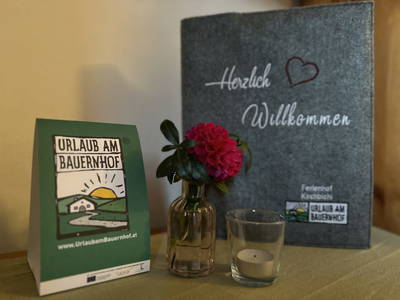 Bild 5 aus  Ferienhof Kirchbichl