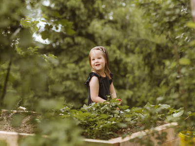 Bild 65 aus  Knappenhof