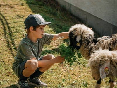 Bild 8 aus  Untersüssgut