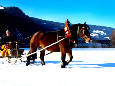 Bild 80 aus Schloss Saalhof
