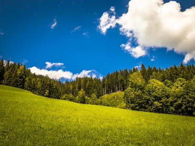 Bild 37 aus  Chalet Bascht am Maroldenhof