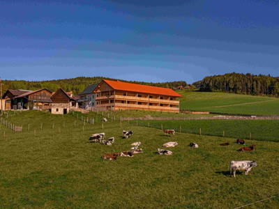 Bild 109 aus  Pircherhof - Adults Only am Biobauernhof