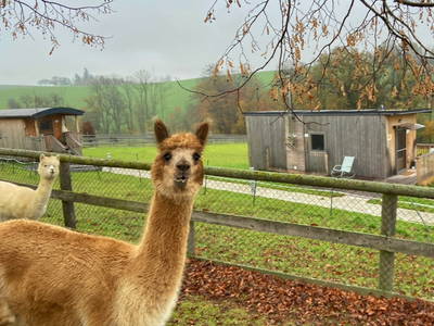 Bild 162 aus  Esperanzahof